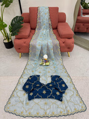 Celestial Saree