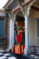 A touch of South Indian grace lehenga choli