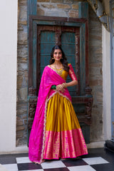 A touch of South Indian grace lehenga choli