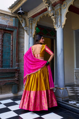 A touch of South Indian grace lehenga choli